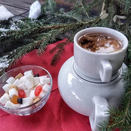 Pensjonat 4 Mountains *