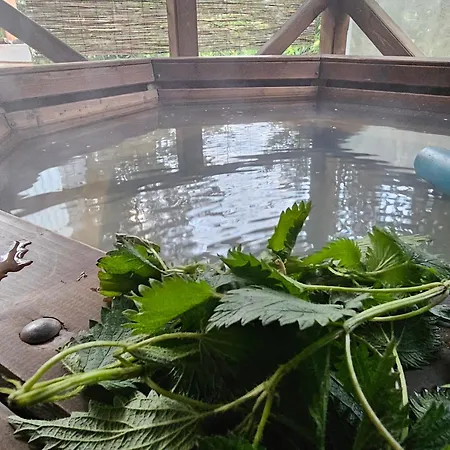 4 Mountains Pensjonat Bystrets